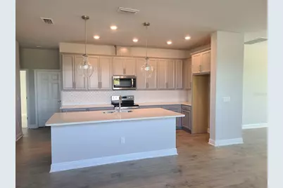 11732 Richmond Trail, Parrish, FL 34219 - Photo 4