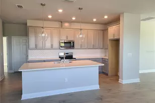 11732 Richmond Trl, Parrish, FL 34219 - Photo 4