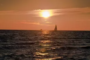 7919 Limestone Ln, Sarasota, FL 34233 - Photo 100