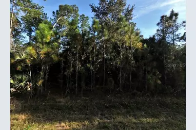 Bignay Road, North Port, FL 34288 - Photo 2