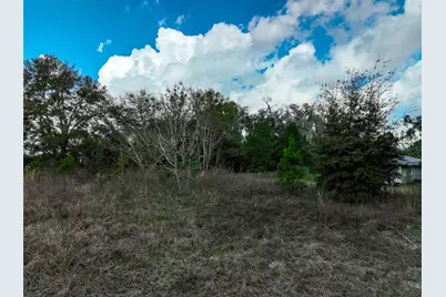 106 NW Fat Cat Court, Lake City, FL 32055 - Photo 16