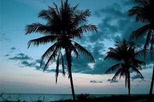 2165 Gulf of Mexico Dr, Longboat Key, FL 34228 - Photo 58