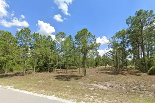 3902 East 10th Street, Lehigh Acres, FL 33972 - Photo 1