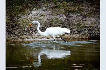 35005 Clay Gully Road, Myakka City, FL 34251 - Photo 74