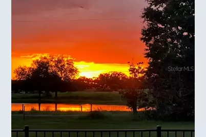 35005 Clay Gully Road, Myakka City, FL 34251 - Photo 70