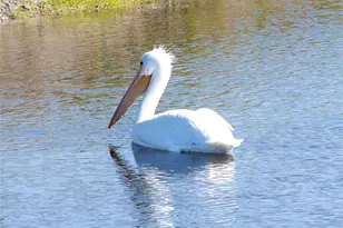 863 Audubon Dr, Bradenton, FL 34209 - Photo 24