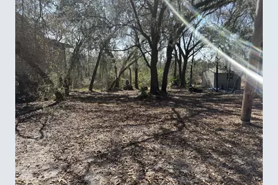 10630 NE 207th Lane, Fort Mc Coy, FL 32134 - Photo 6