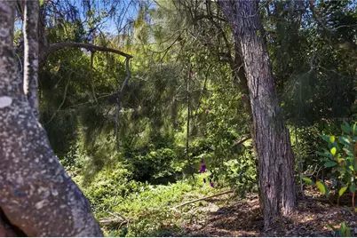 2244 Sunnyside Place, Sarasota, FL 34239 - Photo 34