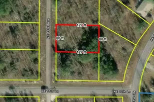 0 NE 151st Ave, Williston, FL 32696 - Photo 1