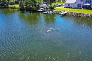 3861 N Ringdove Point, Crystal River, FL 34428 - Photo 40