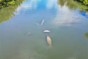 454 Bahia Beach Blvd, Ruskin, FL 33570 - Photo 72