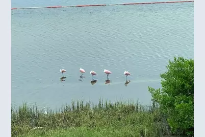 6470 Mourning Dove Drive #203, Bradenton, FL 34210 - Photo 52