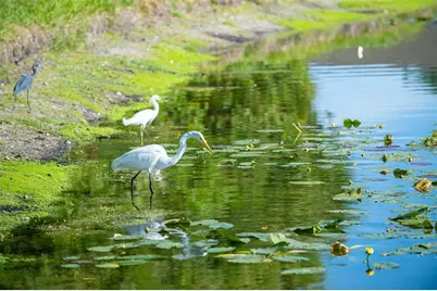 5204 Mahogany Run Avenue, Sarasota, FL 34241 - Photo 64