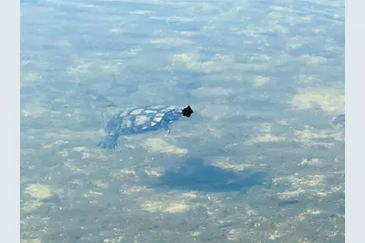 5061 Barrington Circle #1302, Sarasota, FL 34234 - Photo 42