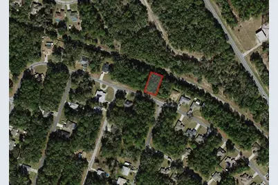9875 N Sandree Drive, Citrus Springs, FL 34434 - Photo 2