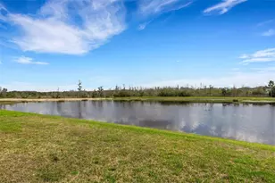 19298 Blue Pond Dr, Lutz, FL 33558 - Photo 74