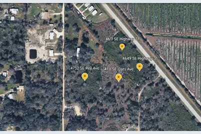 4649 SE Highway 31, Arcadia, FL 34266 - Photo 4