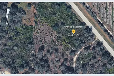 4649 SE Highway 31, Arcadia, FL 34266 - Photo 2
