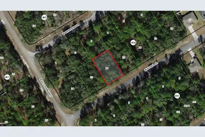 255 W Ruska Place, Citrus Springs, FL 34434 - Photo 2