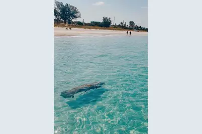 316 Hammock Circle, Anna Maria, FL 34216 - Photo 48