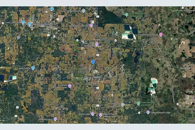 9143 SE 26th Way, Webster, FL 33597 - Photo 4