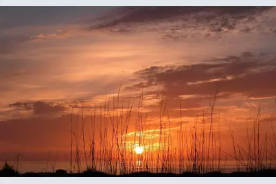 2000 Harbourside Drive #1501, Longboat Key, FL 34228 - Photo 44