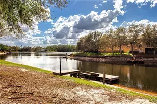 18048 Java Isle Dr, Tampa, FL 33647 - Photo 4