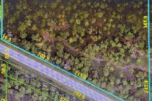 24905 Sr-70 E, Myakka City, FL 34251 - Photo 1