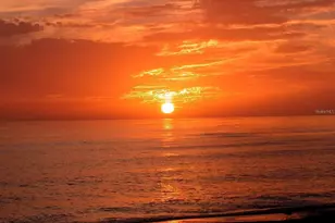 8800 Midnight Pass Rd, Sarasota, FL 34242 - Photo 90