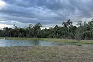 13111 Sassafras Trl, Parrish, FL 34219 - Photo 10