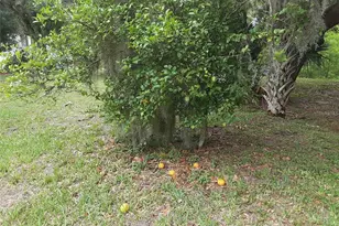 5619 Colonial Oaks Blvd, Sarasota, FL 34232 - Photo 22