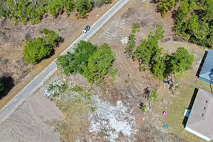 841 Dante Ave S, Lehigh Acres, FL 33974 - Photo 8