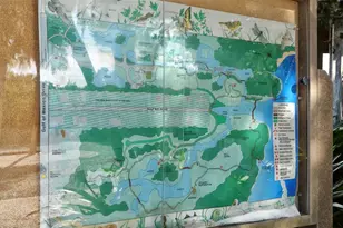 729 St Judes Dr S, Longboat Key, FL 34228 - Photo 40