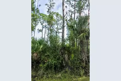 Lot 17 Donatello Avenue, North Port, FL 34286 - Photo 1
