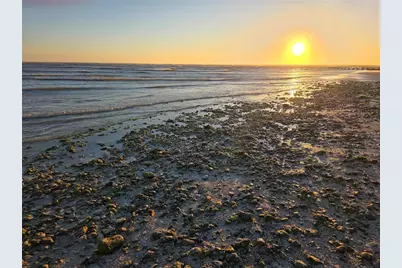 2566 Gary Circle #5, Dunedin, FL 34698 - Photo 34