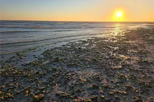 2566 Gary Cir, Dunedin, FL 34698 - Photo 34