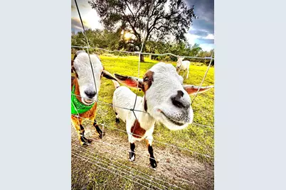 6888 Myakka Valley Trl, Sarasota, FL 34241 - Photo 66