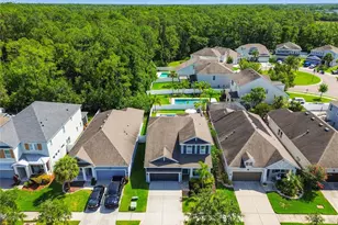11307 Quiet Forest Dr, Tampa, FL 33635 - Photo 66