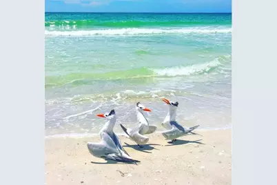 6750 Gulf Of Mexico Drive #151, Longboat Key, FL 34228 - Photo 54