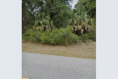 12069 W Riverwood Drive, Crystal River, FL 34428 - Photo 4