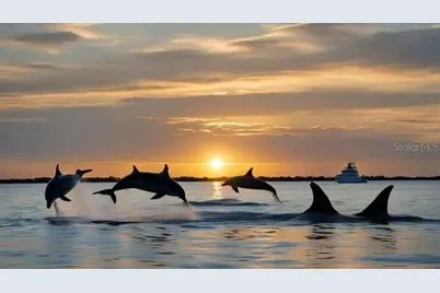 8143 36th Street E, Sarasota, FL 34243 - Photo 86