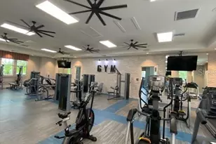 13845 Old Creek Ct, Parrish, FL 34219 - Photo 30