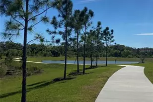 13845 Old Creek Ct, Parrish, FL 34219 - Photo 38