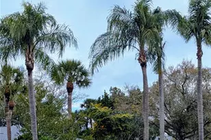 6896 W Country Club Ln, Sarasota, FL 34243 - Photo 22