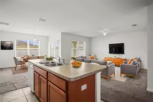 3820 Crystal Dew St, Plant City, FL 33567 - Photo 4