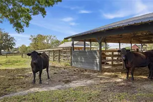 16031 Winburn Dr S, Sarasota, FL 34240 - Photo 36