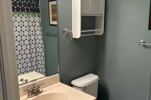 8807 White Sage Loop, Lakewood Ranch, FL 34202 - Photo 16