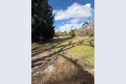 1211 NW Eucalyptus Avenue, Arcadia, FL 34266 - Photo 12