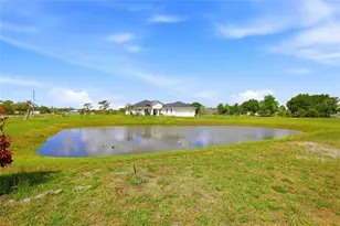 10080 Wauchula Rd, Myakka City, FL 34251 - Photo 46