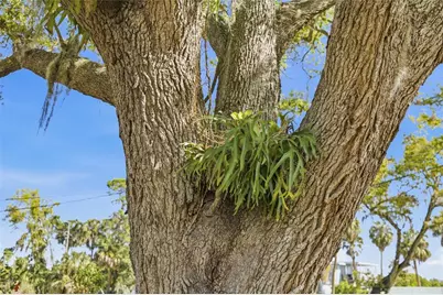 906 Tropical Drive, Bradenton, FL 34208 - Photo 46